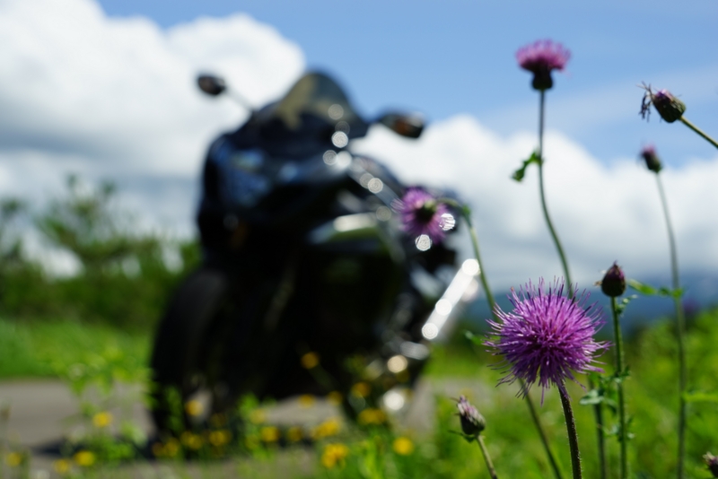 f:id:GSX-R1000:20160629215355j:image