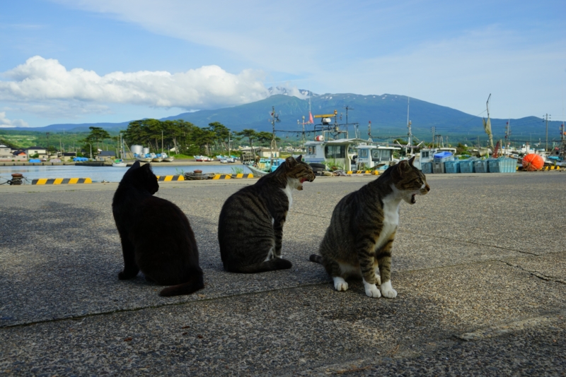 f:id:GSX-R1000:20160629215428j:image