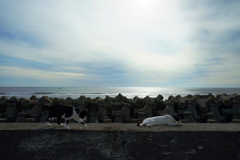 f:id:GSX-R1000:20160629215434j:image