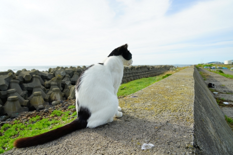 f:id:GSX-R1000:20160629215435j:image