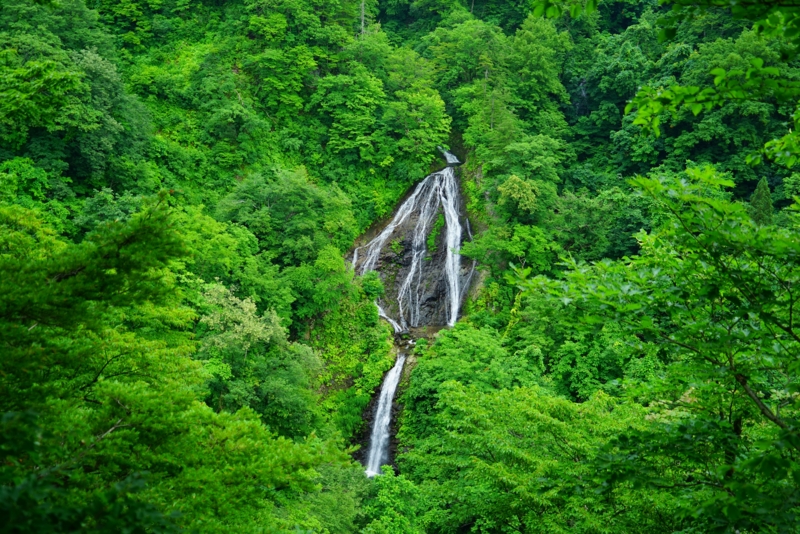 f:id:GSX-R1000:20160711202023j:image