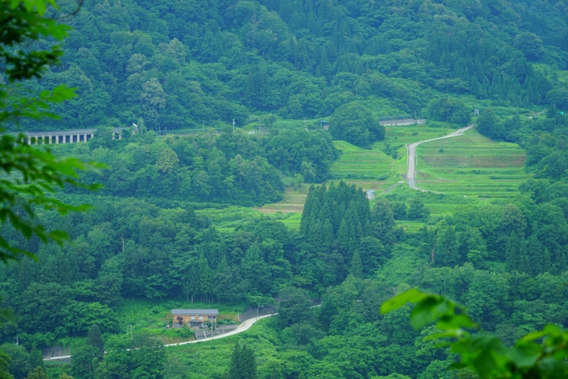 f:id:GSX-R1000:20160711202025j:image