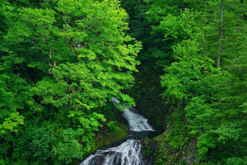 f:id:GSX-R1000:20160711202027j:image