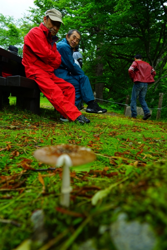 f:id:GSX-R1000:20160711202032j:image