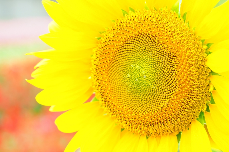 f:id:GSX-R1000:20160728214916j:image f:id:GSX-R1000:20160728214916j:image