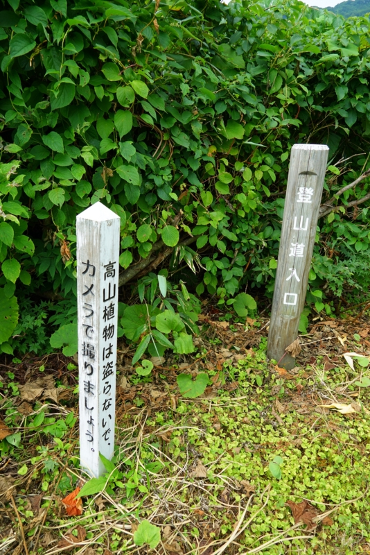 f:id:GSX-R1000:20160731221815j:image