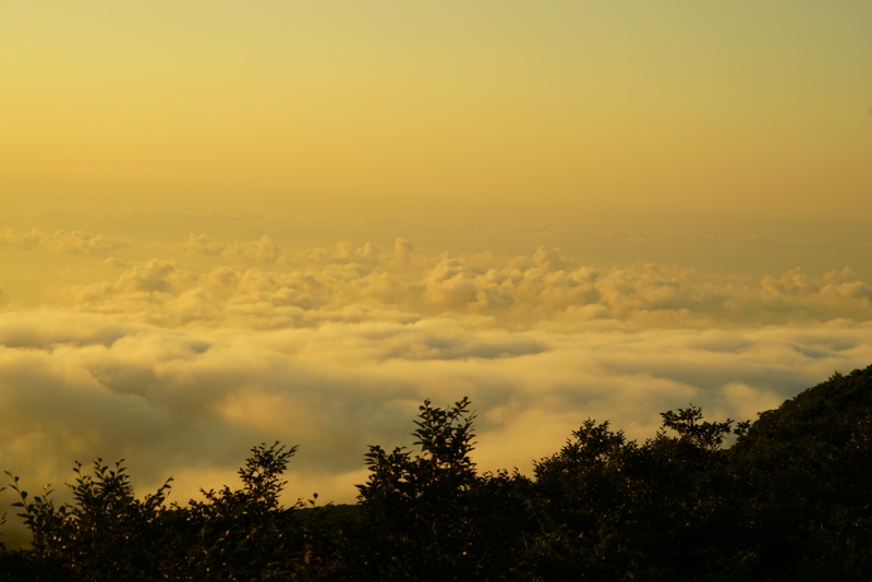 f:id:GSX-R1000:20160810124856j:image