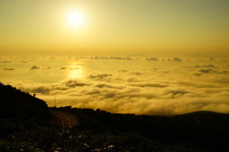 f:id:GSX-R1000:20160810124900j:image