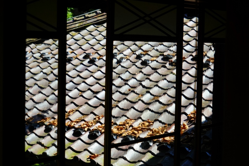 f:id:GSX-R1000:20160821194917j:image