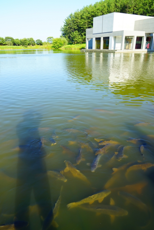 f:id:GSX-R1000:20160821195813j:image