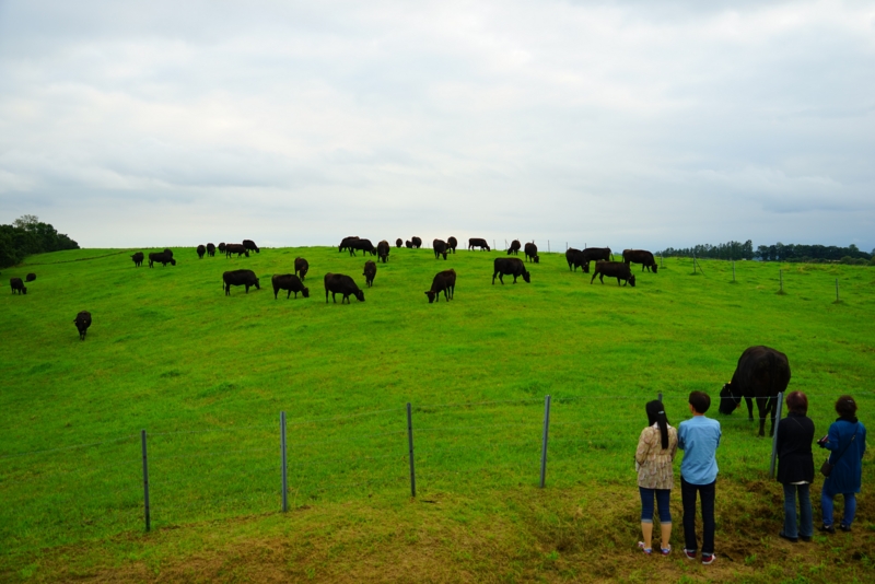 f:id:GSX-R1000:20160907212153j:image f:id:GSX-R1000:20160907212153j:image