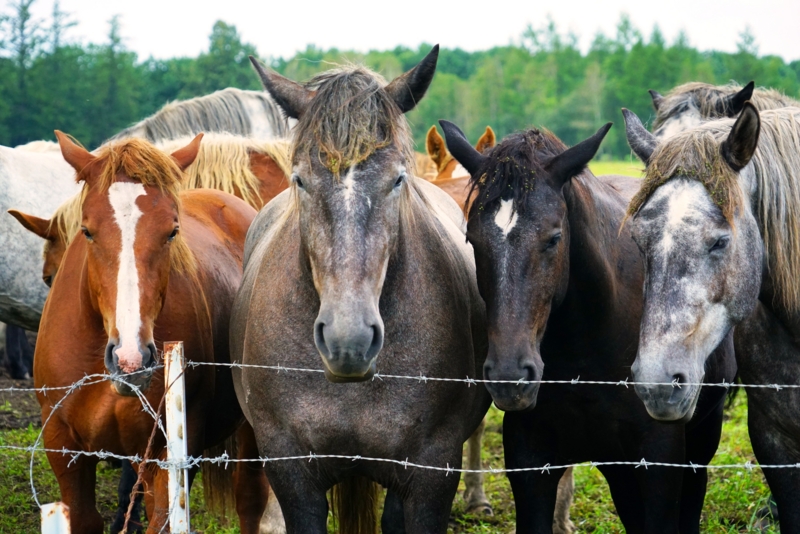 f:id:GSX-R1000:20160907212158j:image f:id:GSX-R1000:20160907212158j:image