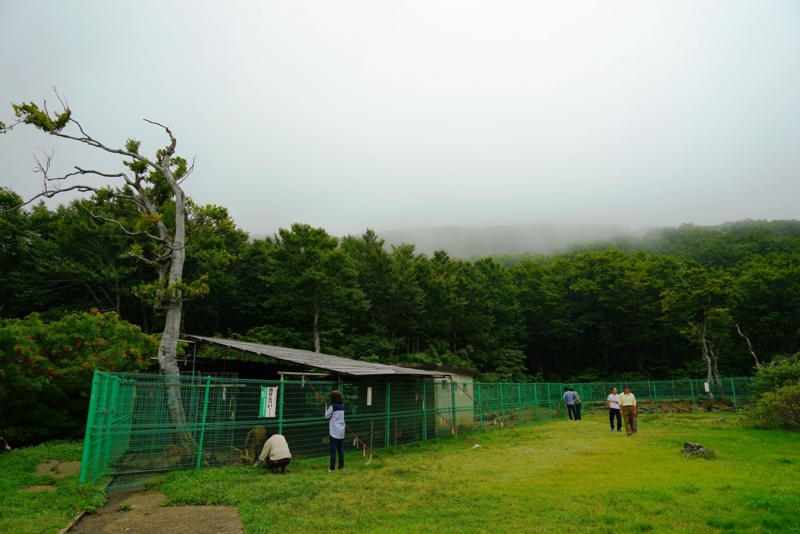 f:id:GSX-R1000:20160923203054j:image f:id:GSX-R1000:20160923203054j:image