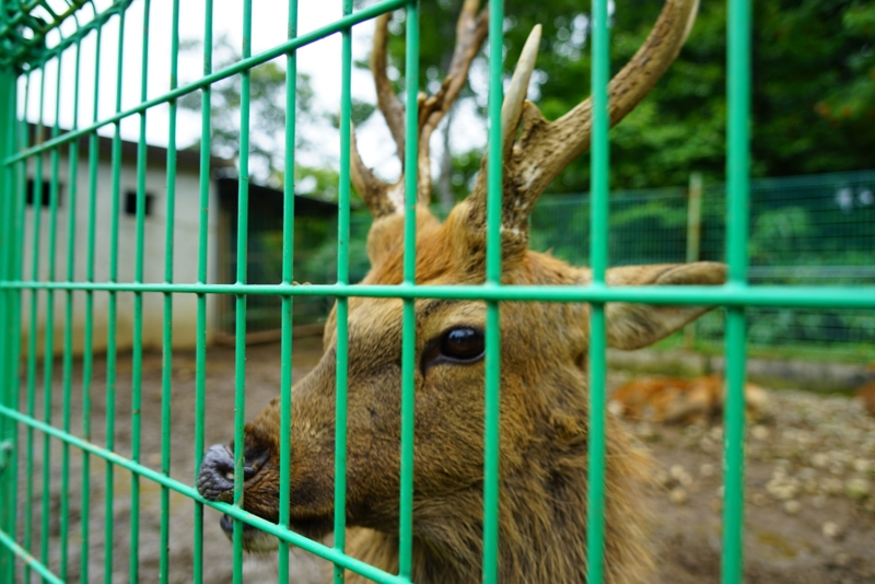 f:id:GSX-R1000:20160923203057j:image f:id:GSX-R1000:20160923203057j:image