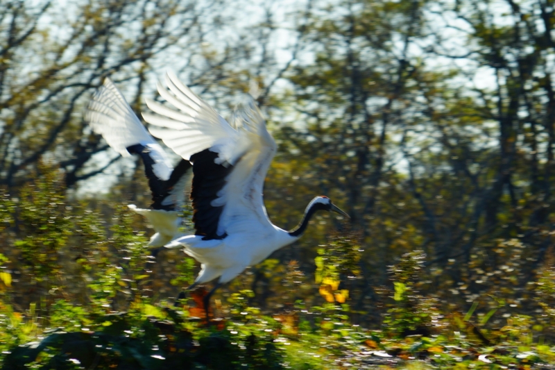 f:id:GSX-R1000:20161016213535j:image f:id:GSX-R1000:20161016213535j:image