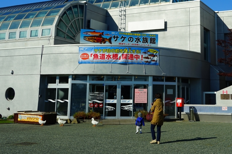 f:id:GSX-R1000:20161016213542j:image f:id:GSX-R1000:20161016213542j:image