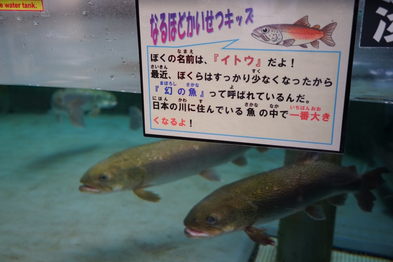 f:id:GSX-R1000:20161016213548j:image f:id:GSX-R1000:20161016213548j:image