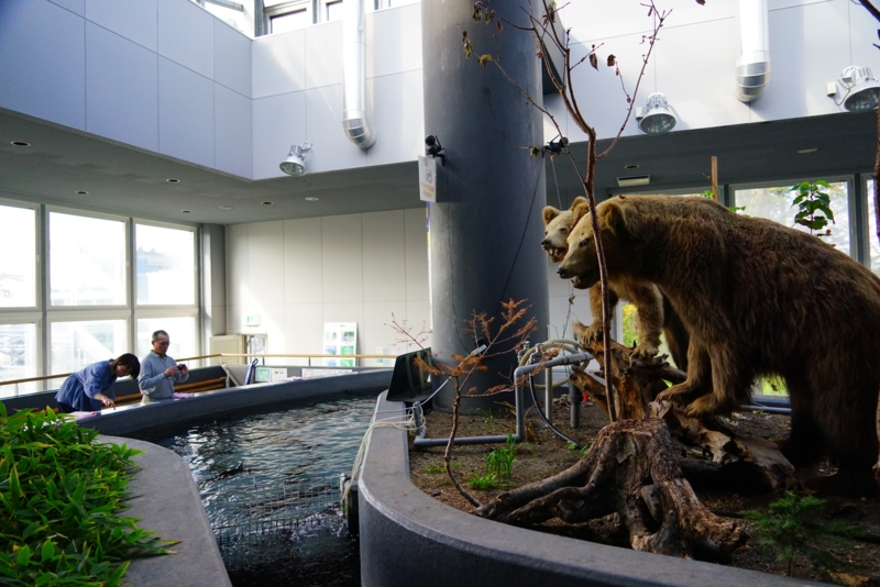 f:id:GSX-R1000:20161016213552j:image f:id:GSX-R1000:20161016213552j:image