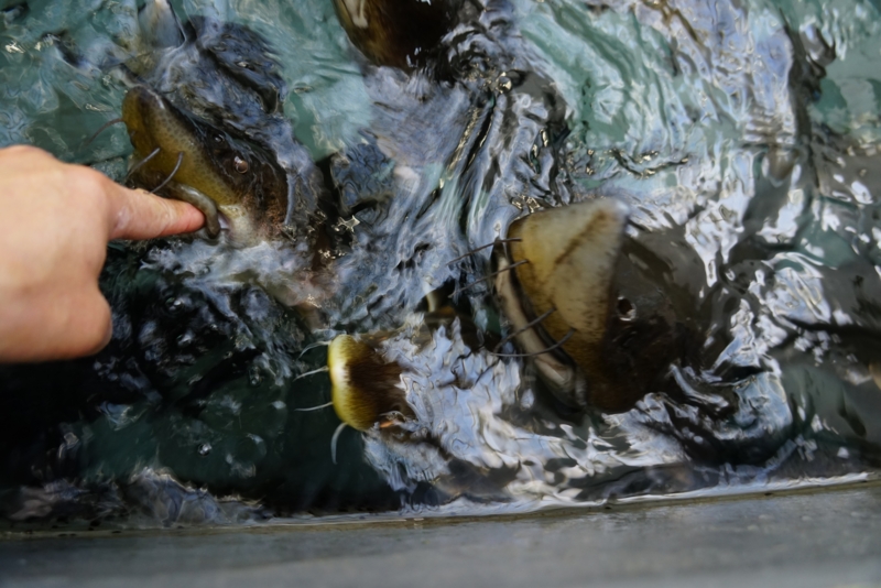 f:id:GSX-R1000:20161016213607j:image f:id:GSX-R1000:20161016213607j:image