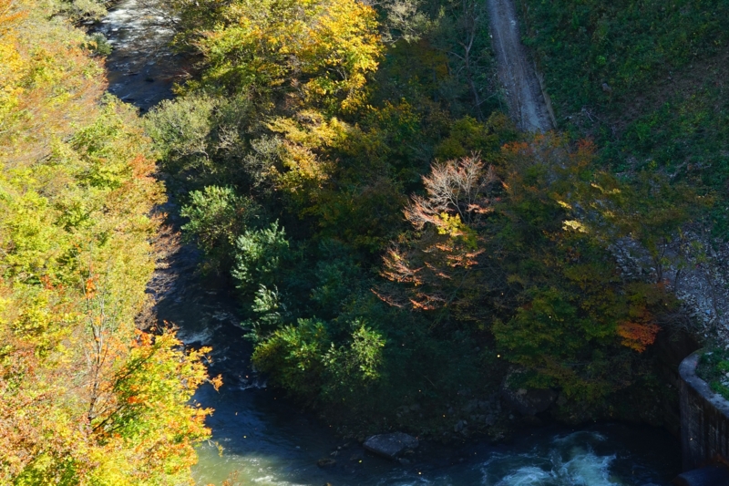 f:id:GSX-R1000:20161029095709j:image