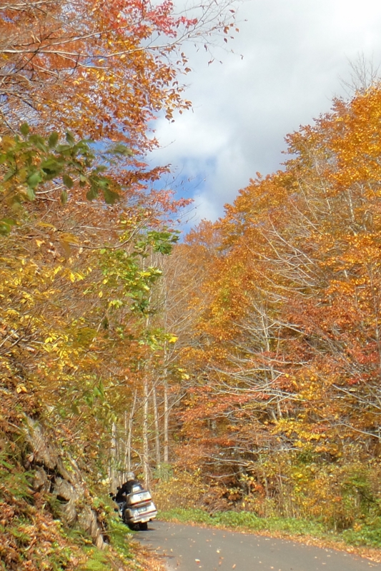 f:id:GSX-R1000:20161029095741j:image