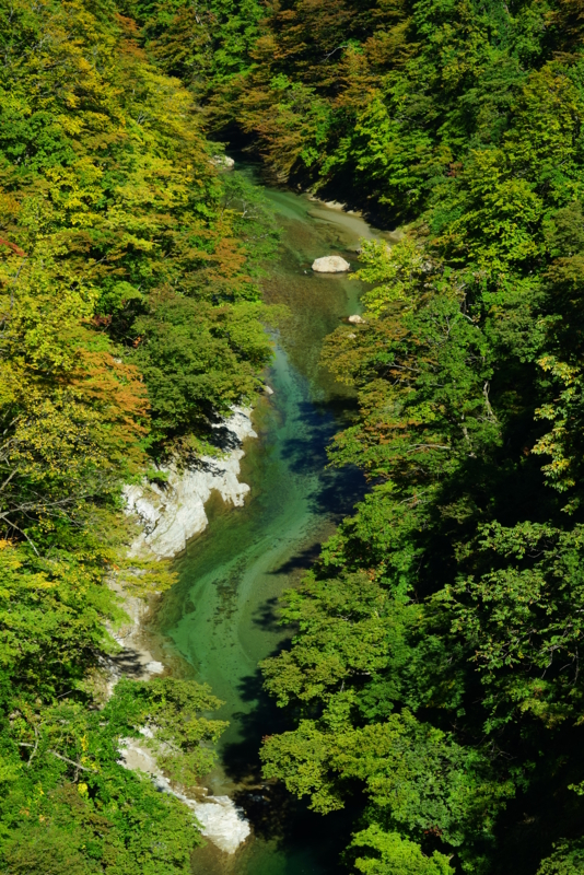 f:id:GSX-R1000:20161031204737j:image