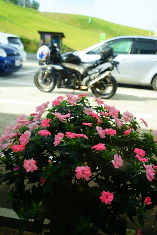 f:id:GSX-R1000:20161031210756j:image