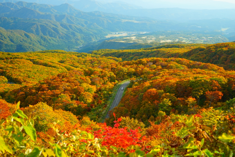 f:id:GSX-R1000:20161031210804j:image