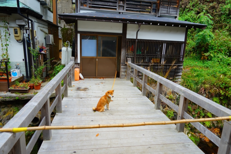 f:id:GSX-R1000:20161107213751j:image