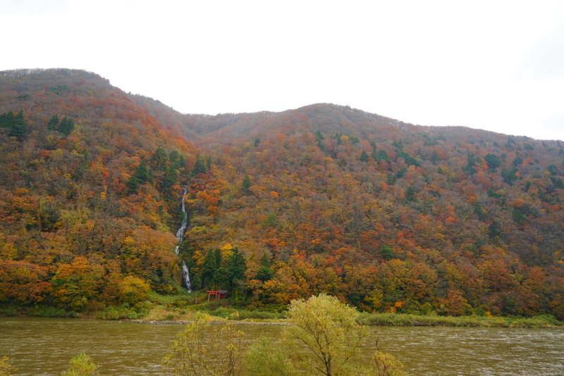 f:id:GSX-R1000:20161119175927j:image