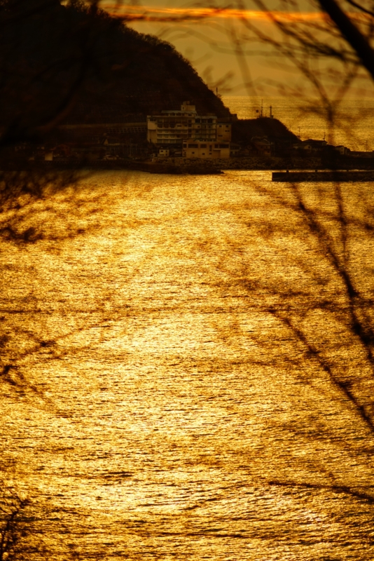 f:id:GSX-R1000:20161210193655j:image