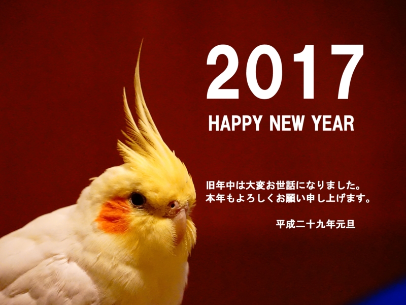 f:id:GSX-R1000:20161231120135j:image