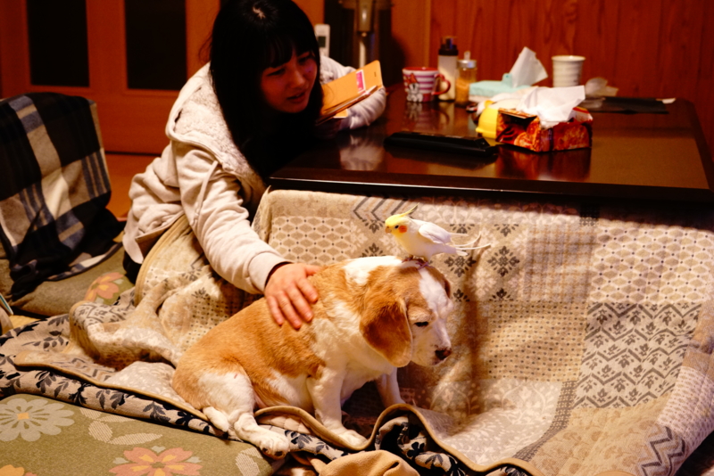 f:id:GSX-R1000:20161231120138j:image