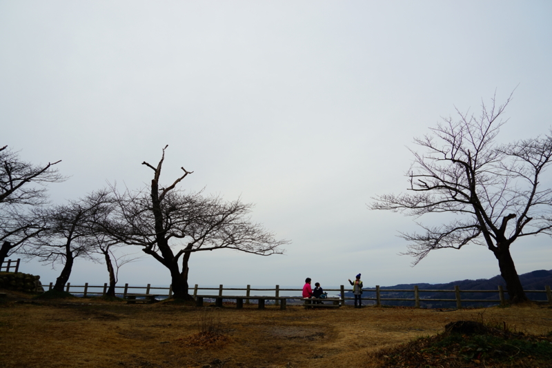 f:id:GSX-R1000:20170109195028j:image
