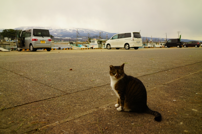 f:id:GSX-R1000:20170205221808j:image