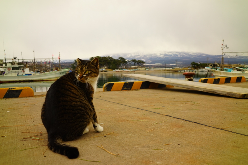 f:id:GSX-R1000:20170205221810j:image