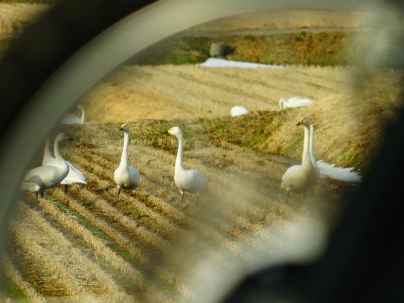 f:id:GSX-R1000:20170219212009j:image