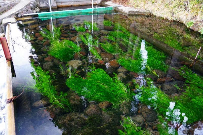 f:id:GSX-R1000:20170219212019j:image