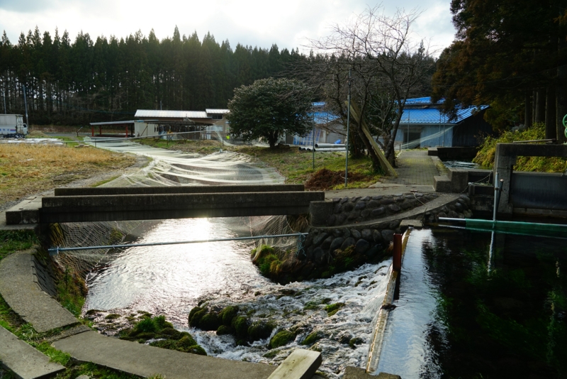 f:id:GSX-R1000:20170219212021j:image