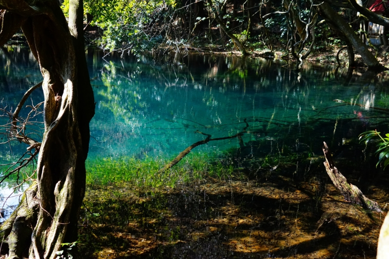 f:id:GSX-R1000:20170314205951j:image