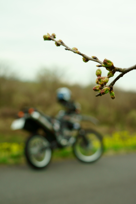 f:id:GSX-R1000:20170408224944j:image