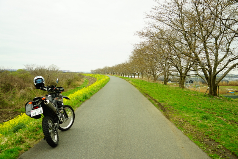 f:id:GSX-R1000:20170408224947j:image