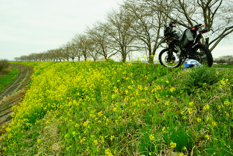 f:id:GSX-R1000:20170408224949j:image