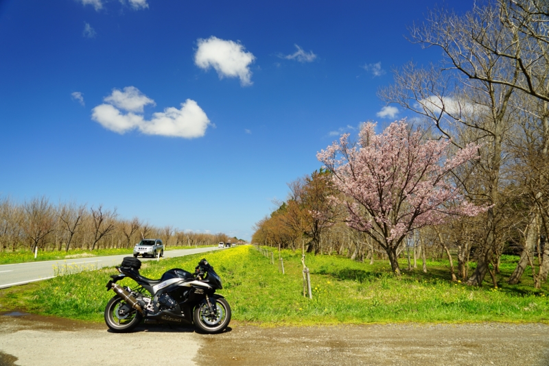 f:id:GSX-R1000:20170425225110j:image