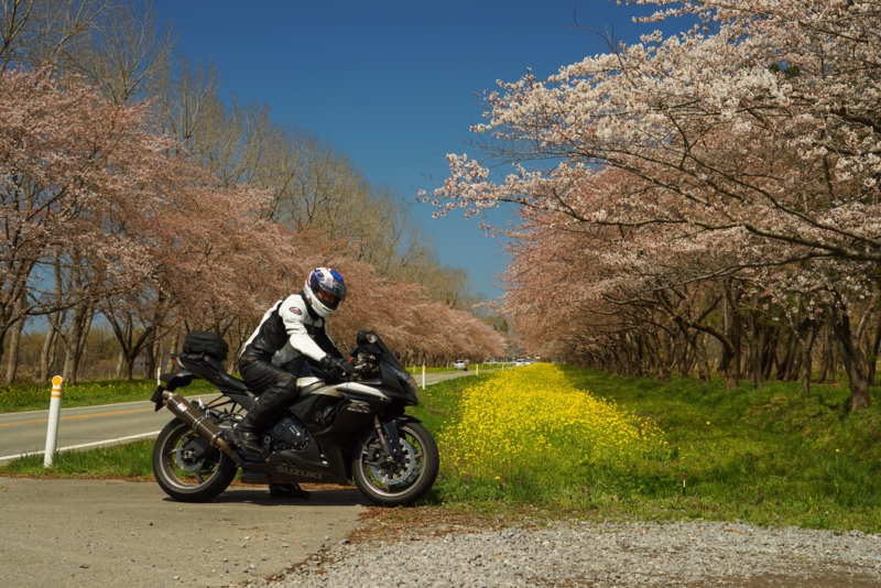 f:id:GSX-R1000:20170425225112j:image