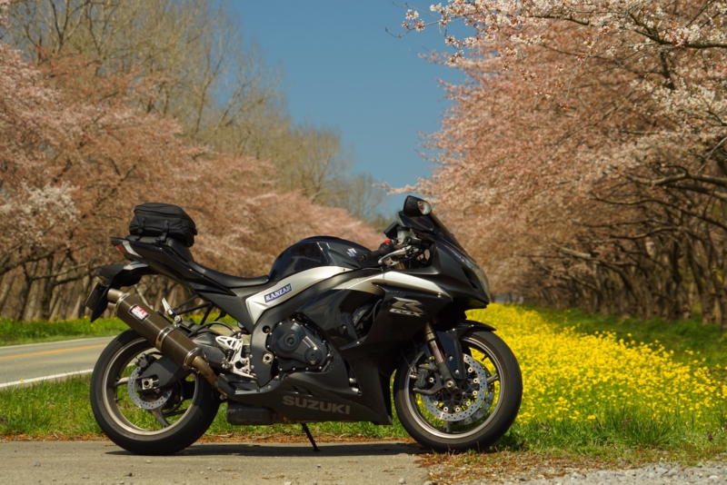 f:id:GSX-R1000:20170425225114j:image