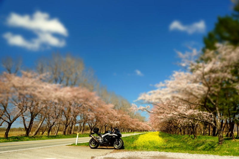 f:id:GSX-R1000:20170425225115j:image