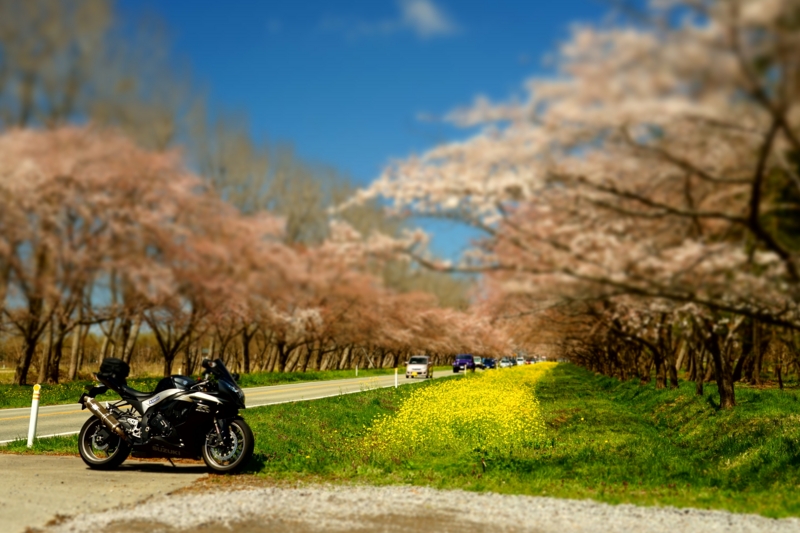 f:id:GSX-R1000:20170425225116j:image