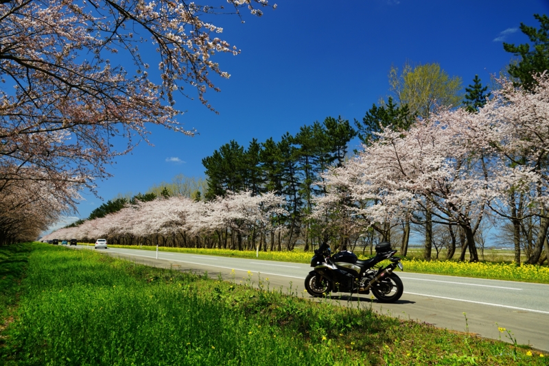 f:id:GSX-R1000:20170425225119j:image