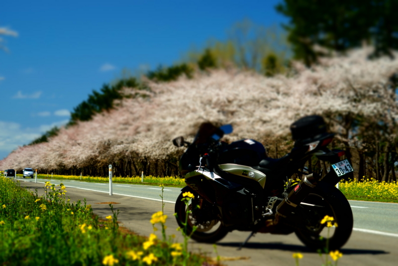 f:id:GSX-R1000:20170425225120j:image